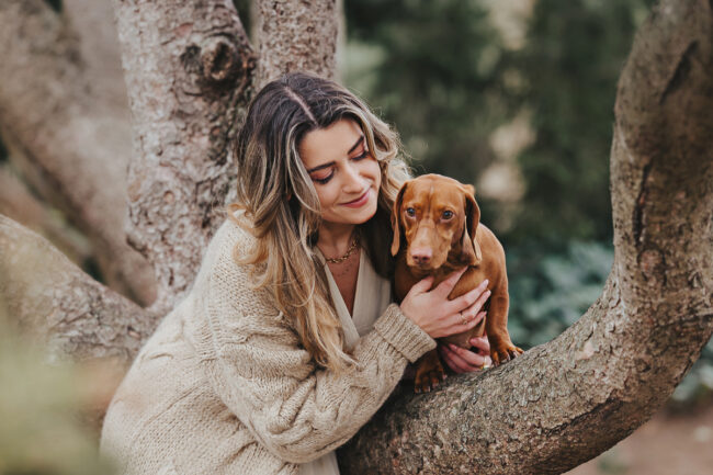 Dogs And Pets 26