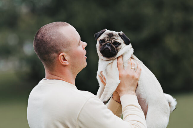 Dogs And Pets 10