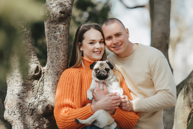 Dogs And Pets 100