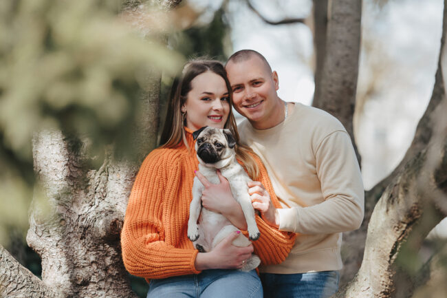 Dogs And Pets 76