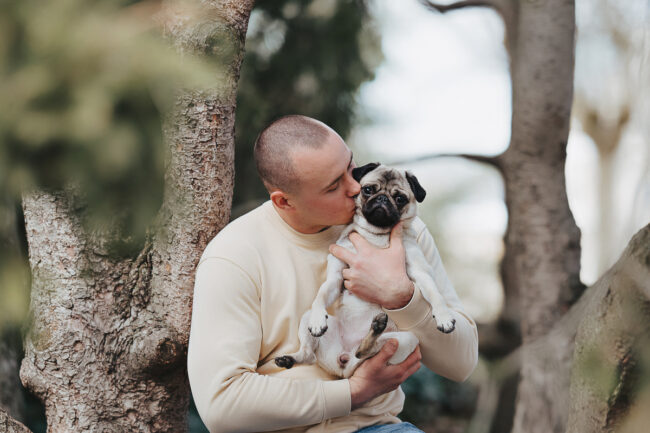 Dogs And Pets 103