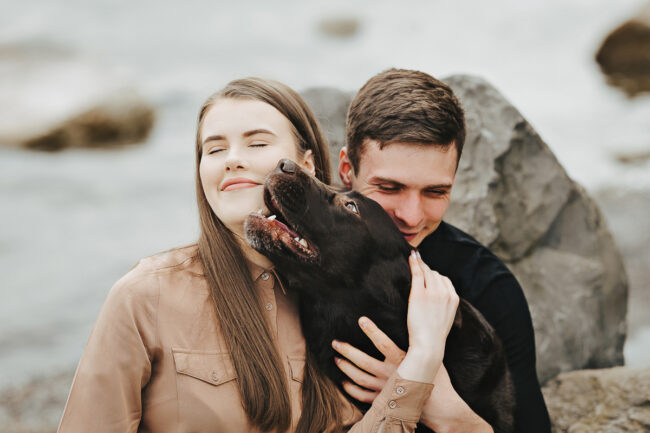 Dogs And Pets 93