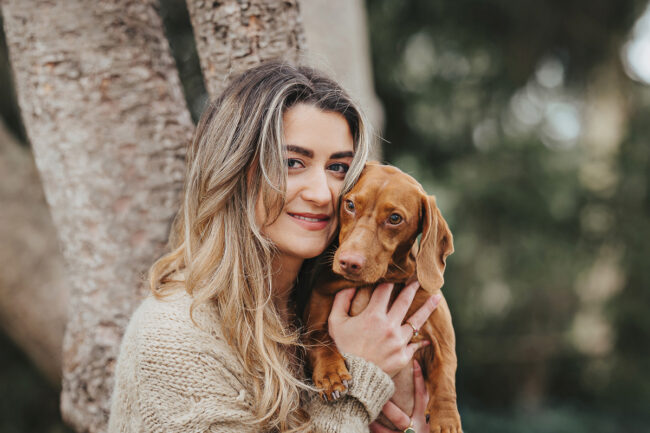 Dogs And Pets 84