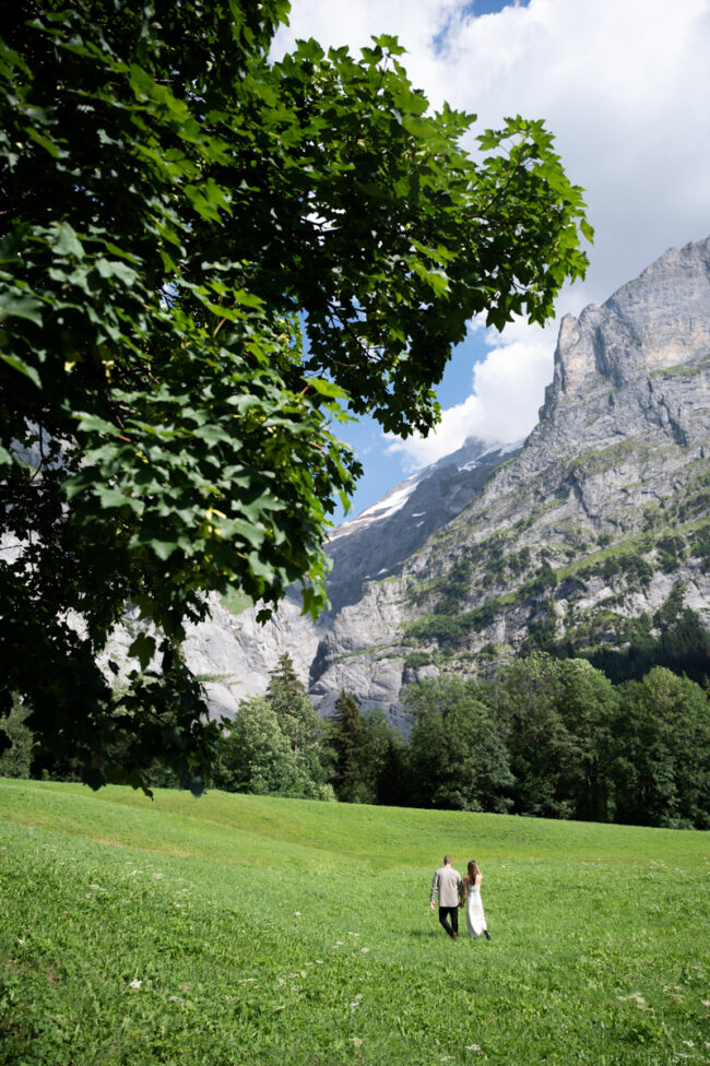 Swiss Alps Photography 117