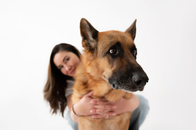 Dogs And Pets 97