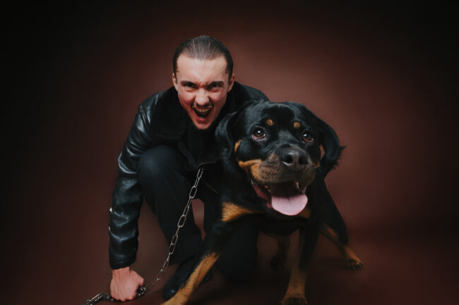 Dogs And Pets 9