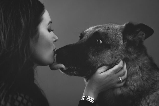 Dogs And Pets 51