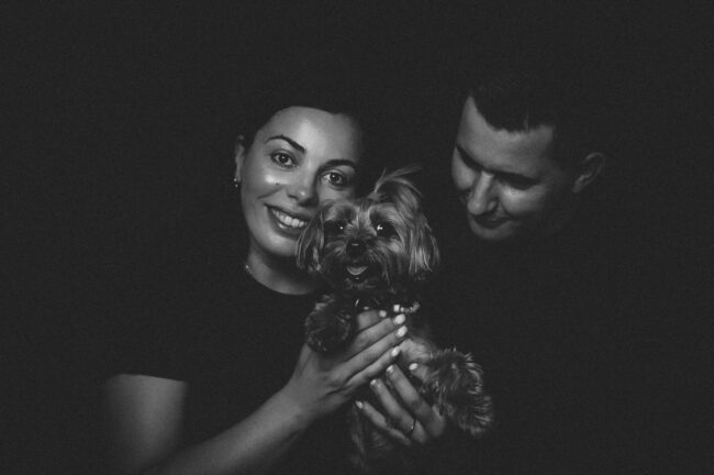 Dogs And Pets 91