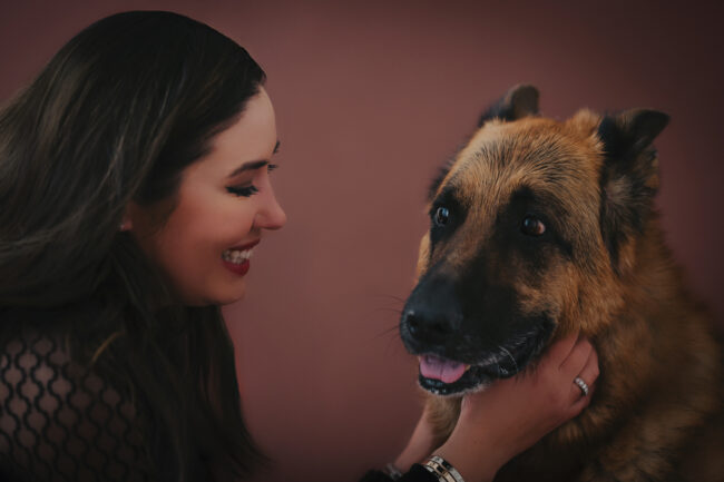 Dogs And Pets 22